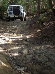 Track Classification - Hunter